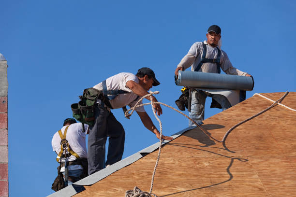 Best Roof Installation Near Me  in Loyal, WI