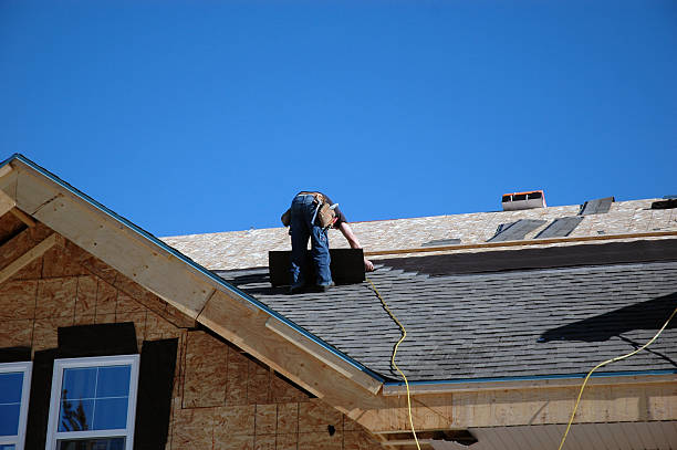 Best Flat Roof Repair Services  in Loyal, WI