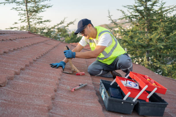 Best Roof Leak Repair  in Loyal, WI
