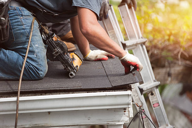 Best Roof Gutter Cleaning  in Loyal, WI