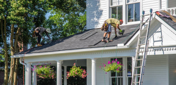 Best Gutter Installation and Roofing  in Loyal, WI