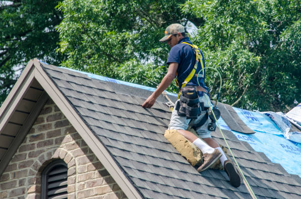 Best Commercial Roofing Services  in Loyal, WI